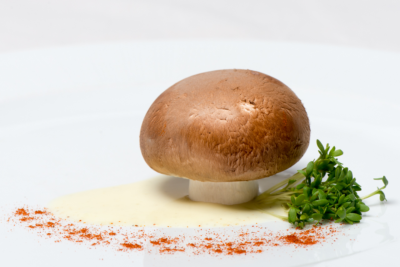 Dress Me - Basic und braunem Champingon